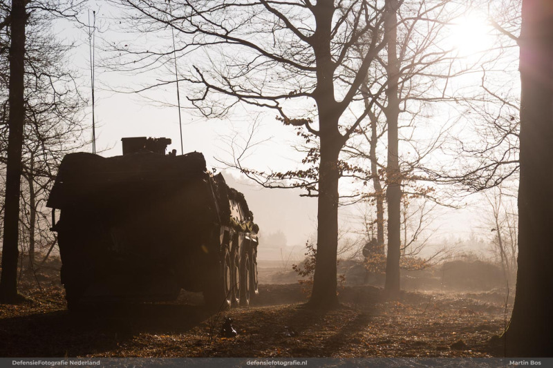 Boxer opkomende zon