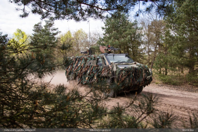 Bushmaster