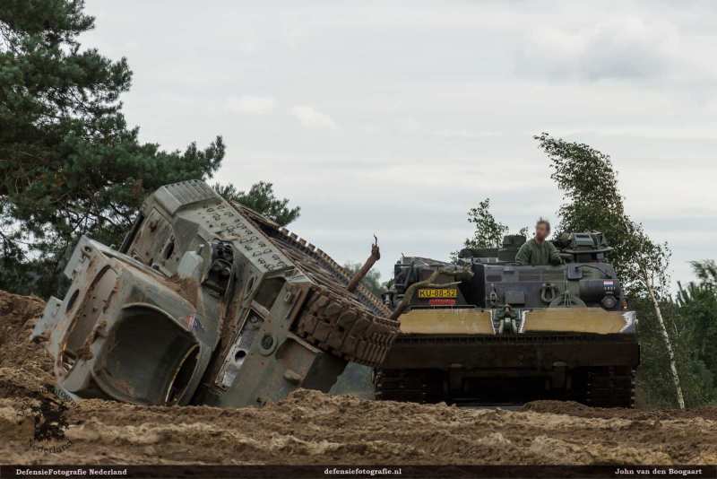 Rhino recovery