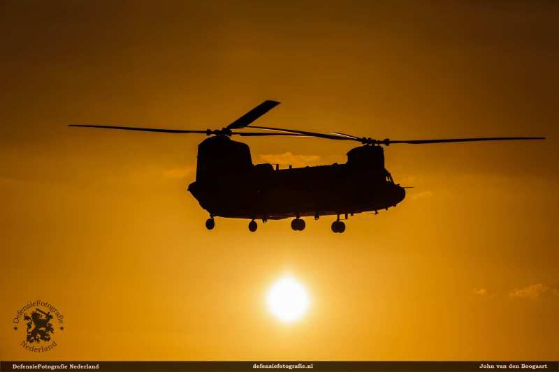 Chinook avondvliegen