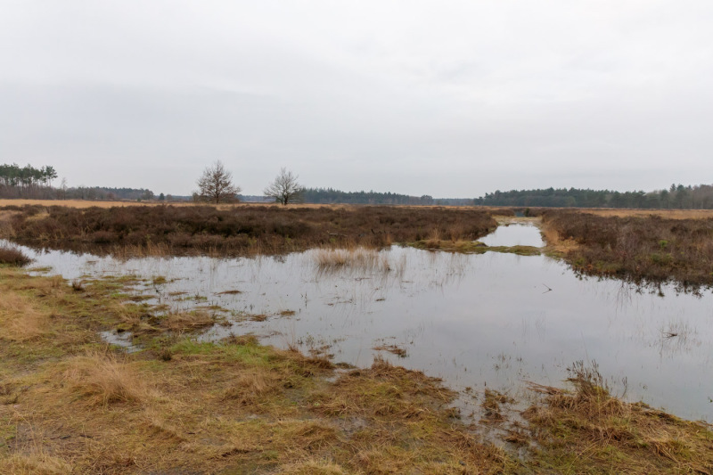 Oirschotse-heide-wateroverlast-1