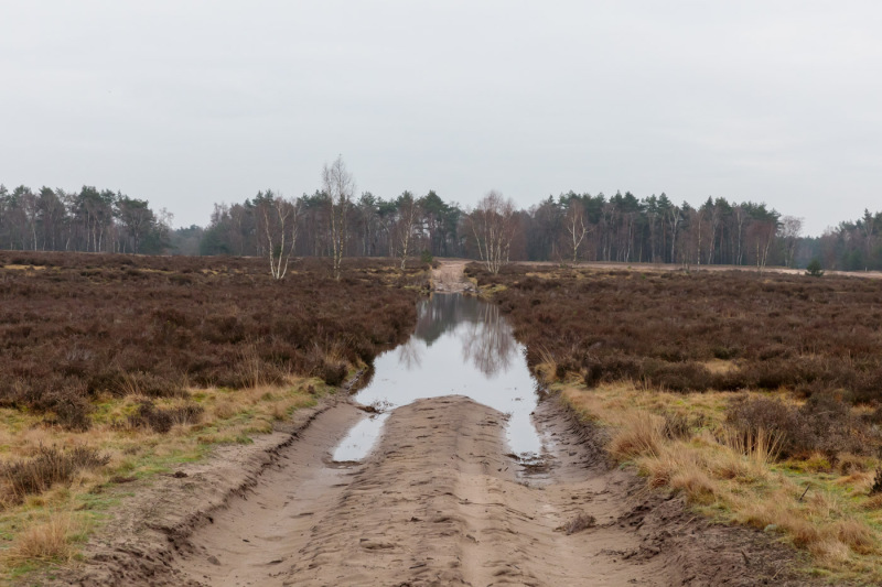 Oirschotse-heide-wateroverlast-12