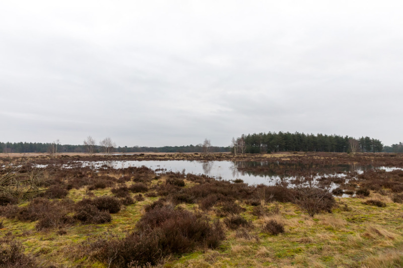 Oirschotse-heide-wateroverlast-13