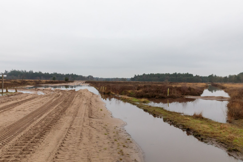 Oirschotse-heide-wateroverlast-3