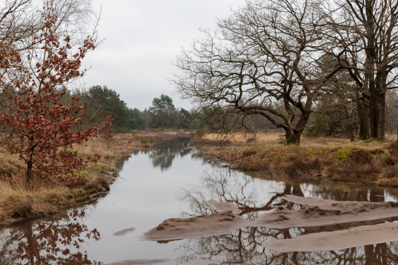 Oirschotse-heide-wateroverlast-4