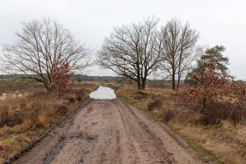 Oirschotse-heide-wateroverlast-5