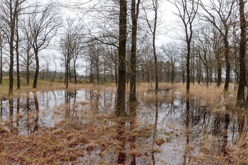 Oirschotse-heide-wateroverlast-8