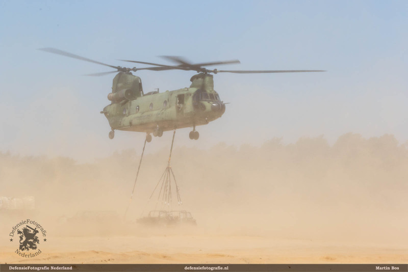 Chinook