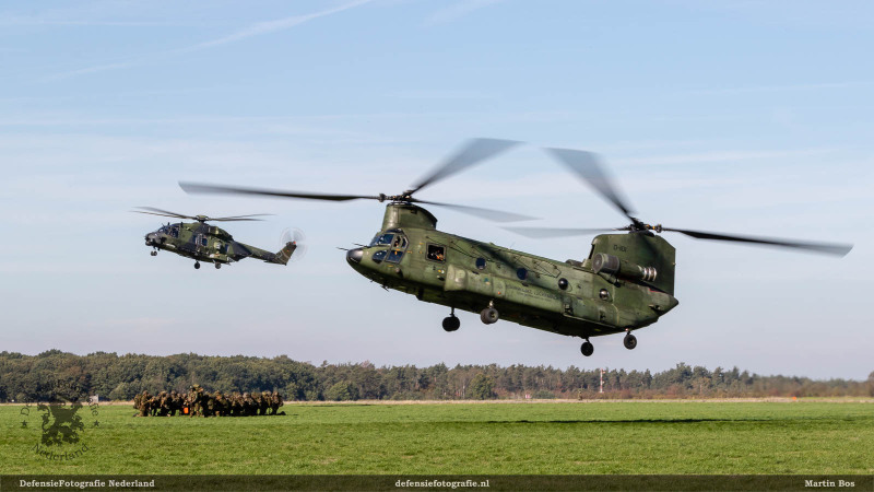 Falcon Autumn op Deelen