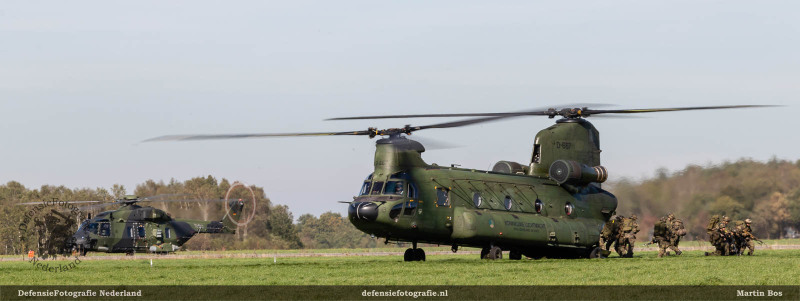 Falcon Autumn op Deelen