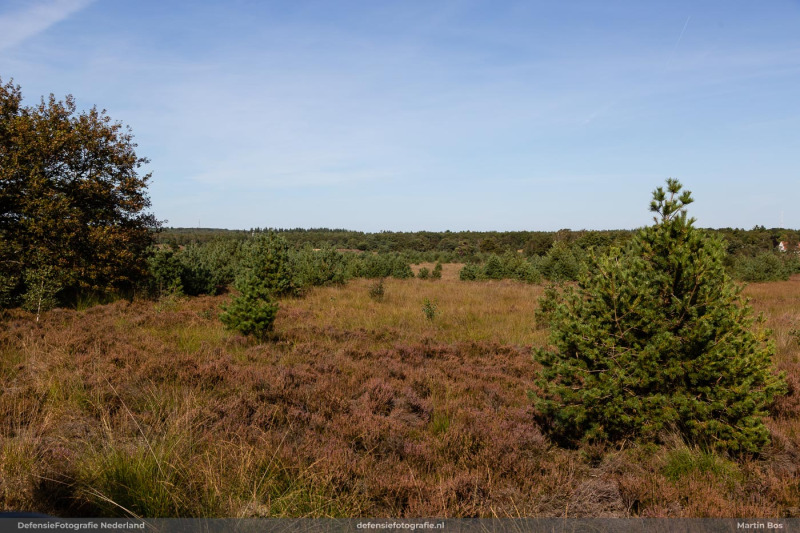 Heide Leusderheide