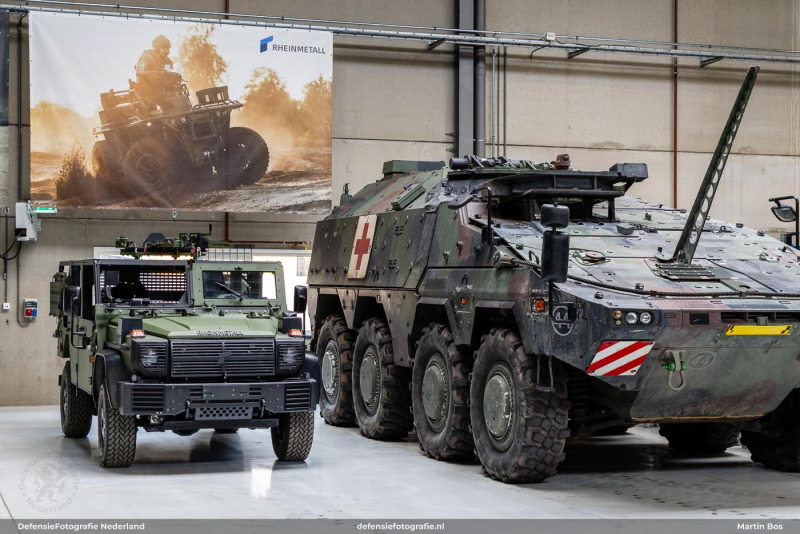 Caracal en Boxer