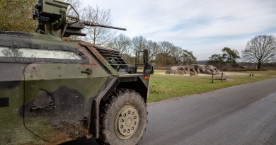Fennek in Drenthe