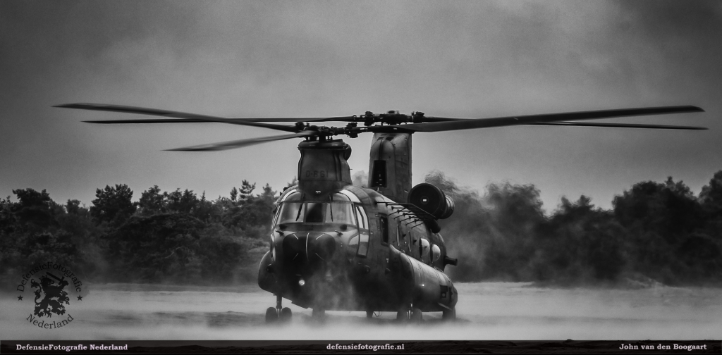 Chinook