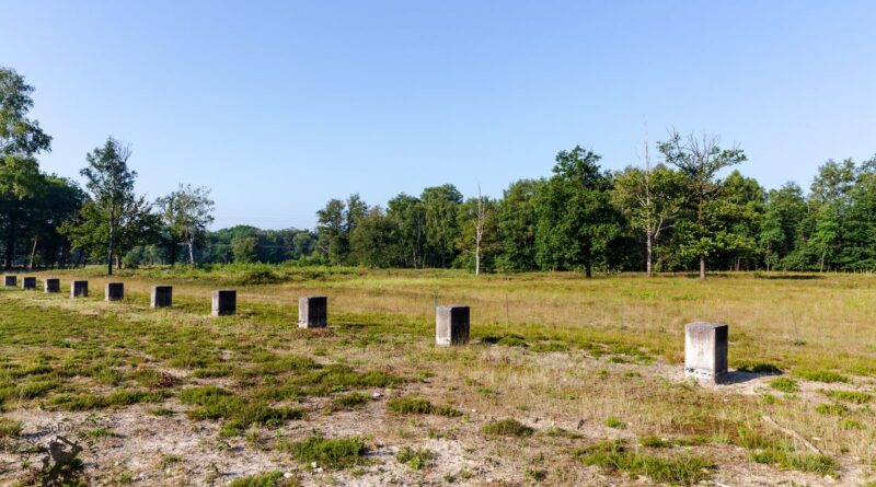 Leeg veld met betonblokken