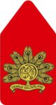 Embleem van het 45 Pantserinfanteriebataljon op kraagspiegel