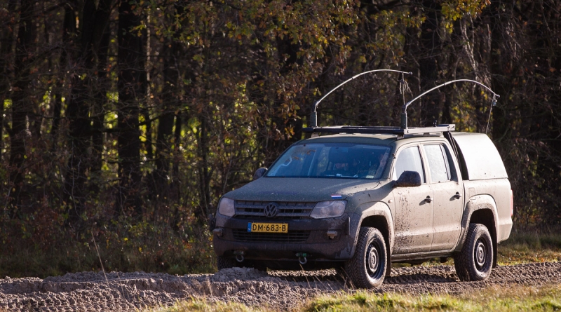 Amarok